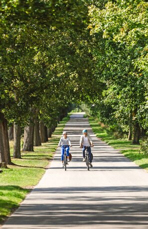 Strandweg bei Loissin | © Strandweg bei Loissin, Foto: djd/TMV/Erik Gross