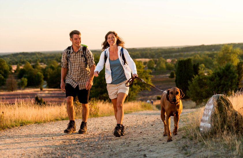 Vom Wilseder Berg blicken die Wanderer weit über die dünn besiedelte Heidelandschaft. | © Foto: DJD/TourismusMarketing Niedersachsen/Dominik Ketz