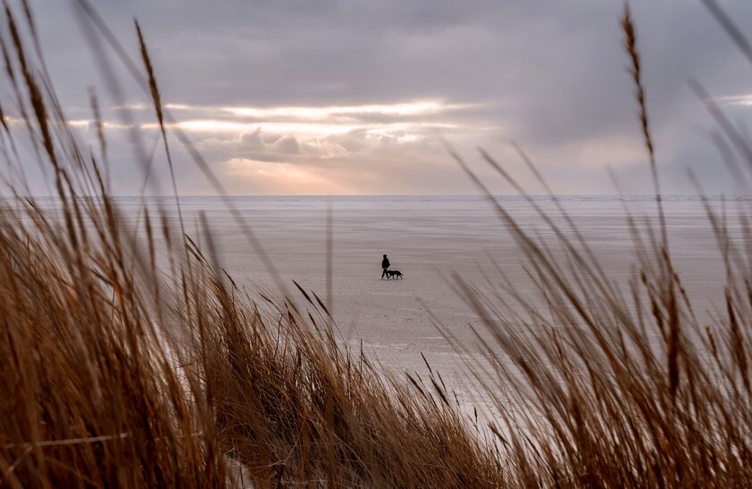 Endlose Sandstrände laden die Zwei- und Vierbeiner auf Borkum zum Spaziergang ein. | © Foto: DJD/TourismusMarketing Niedersachsen/Nicklas Witt