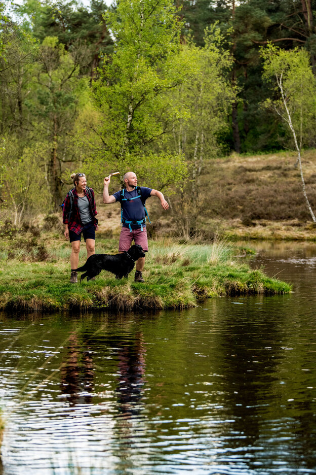 In der Lüneburger Heide gibt es viel Freiraum für Urlauber mit Hund. | © Foto: DJD/TourismusMarketing Niedersachsen/Lüneburger Heide GmbH