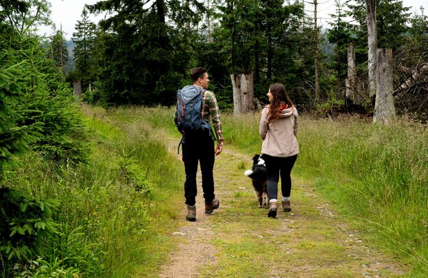 Im Harz können die Wanderwege auch steil und herausfordernd sein, zum Besipiel der Märchenweg von Torfhaus zum Oderteich. | © Foto: DJD/TourismusMarketing Niedersachsen/Harzer Tourismusverband/fotoweberei