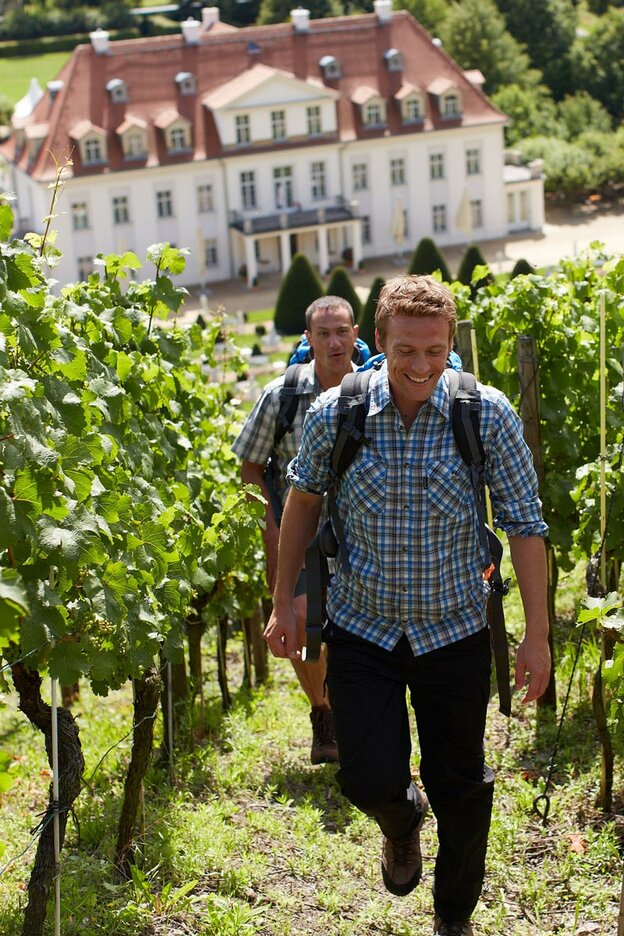 © Ein Spaziergang oder eine Wanderung durch die angrenzenden Weinberge belohnt mit einer tollen Aussicht ins schöne Elbtal. Foto: djd/Schloß Wackerbarth/sachsen-tourismus.de/M. Gloger