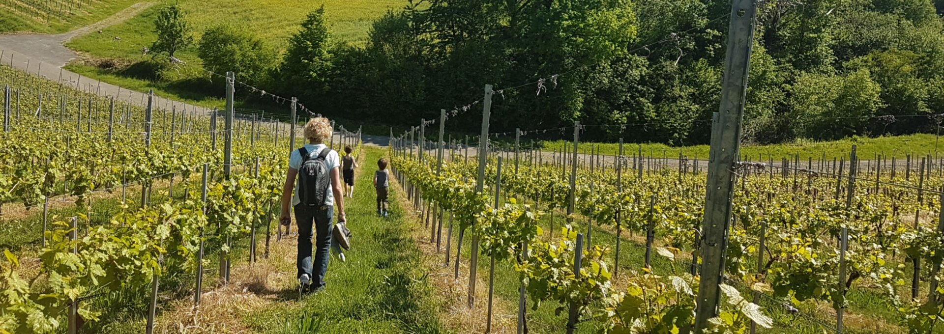 Wandermöglichkeiten auf dem Wein-Lese-Weg | © Foto: djd/Tourismusgemeinschaft Marbach-Bottwartal Wandermöglichkeiten auf dem Wein-Lese-Weg | © Foto: djd/Tourismusgemeinschaft Marbach-Bottwartal