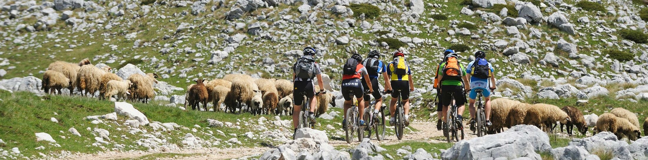 Montenegro bietet ein großes Betätigungsfeld für Outdoor-Urlauber und viel unberührte Natur für die heimische Landwirtschaft.Montenegro bietet ein großes Betätigungsfeld für Outdoor-Urlauber und viel unberührte Natur für die heimische Landwirtschaft. | © Foto: djd/NTO – Montenegro Montenegro bietet ein großes Betätigungsfeld für Outdoor-Urlauber und viel unberührte Natur für die heimische Landwirtschaft. | © Foto: djd/NTO – Montenegro