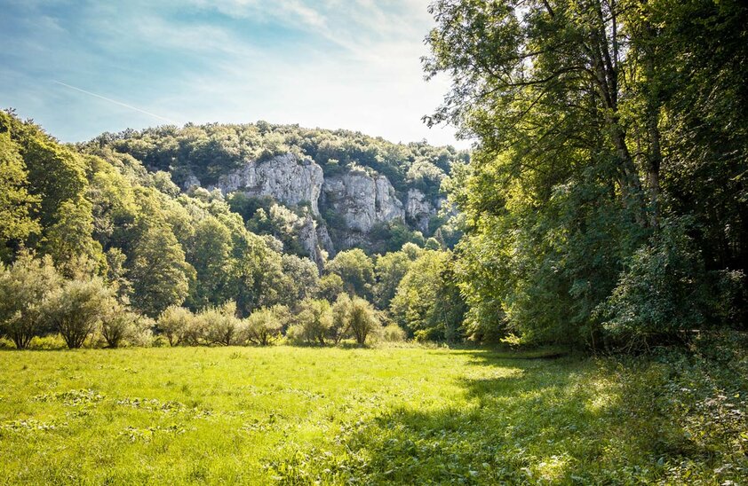 Stille Täler und markante Felsen prägen die Region in und um das Biosphärengebiet Schwäbische Alb. | © Foto: djd/hochgehberge/Angela Hammer