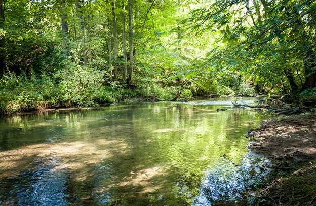 Wandern unter dichtem Grün entlang der idyllischen Lauter. | © Foto: djd/hochgehberge/Angela Hammer
