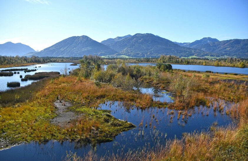 Berge, Seen und artenreiche Moorlandschaft bestimmen das vielseitige Gesicht des Chiemsee-Alpenlands. | © Foto: djd/Chiemsee-Alpenland Tourismus/Franz Ruprecht