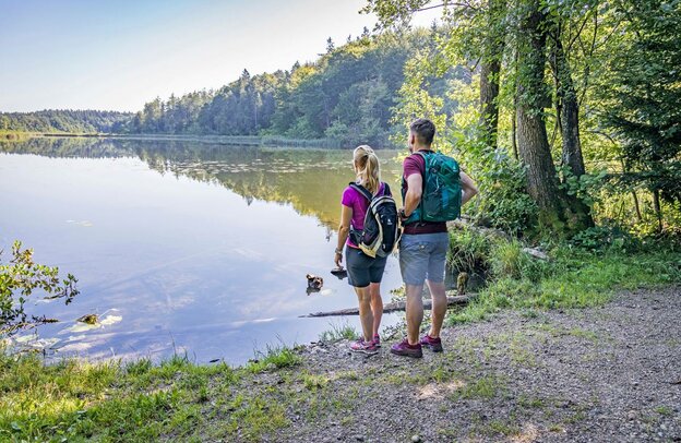 Die abwechslungsreiche Natur im Chiemsee-Alpenland zeigt sich im Herbst von ihrer besonders entspannten Seite. | © Foto: djd/Chiemsee-Alpenland Tourismus/Thomas Kujat 