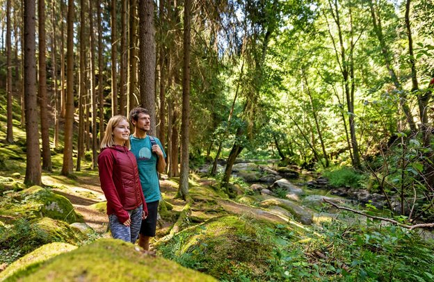 © Das Waldnaabtal lässt sich gut zu Fuß, aber auch mit dem Rad erkunden. Foto: djd/Zweckverband Steinwald-Allianz/Georg Neumann