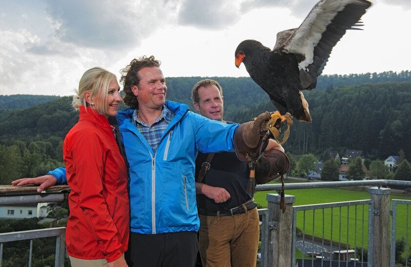 Adlerwarte Berlebeck: Die Freiflugvorführungen und Fütterungen sind ein Erlebnis. | © Foto: djd/Teutoburger Wald Tourismus/Rolf Lang