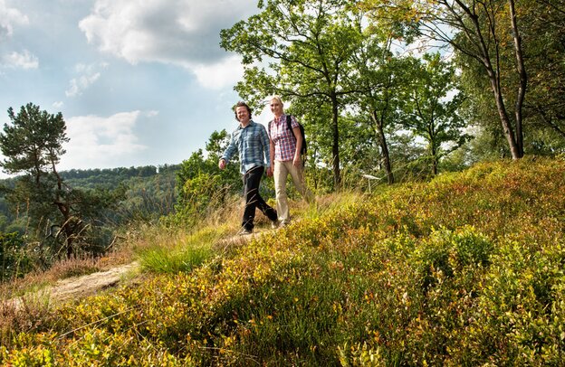Im Teutoburger Wald ist die Auswahl an schönen Touren und Sehenswürdigkeiten groß. | © Foto: djd/Teutoburger Wald Tourismus/Rolf Lang