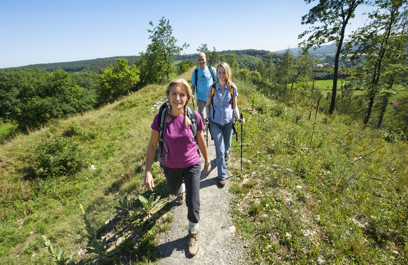 Naturnahe Pfade, schöne Aussichten und angenehme Rastmöglichkeiten sind charakteristisch für die Wanderregion Teutoburger Wald.  Naturnahe Pfade, schöne Aussichten und angenehme Rastmöglichkeiten sind charakteristisch für die Wanderregion Teutoburger Wald. | © Foto: djd/Teutoburger Wald Tourismus/Andreas Hub