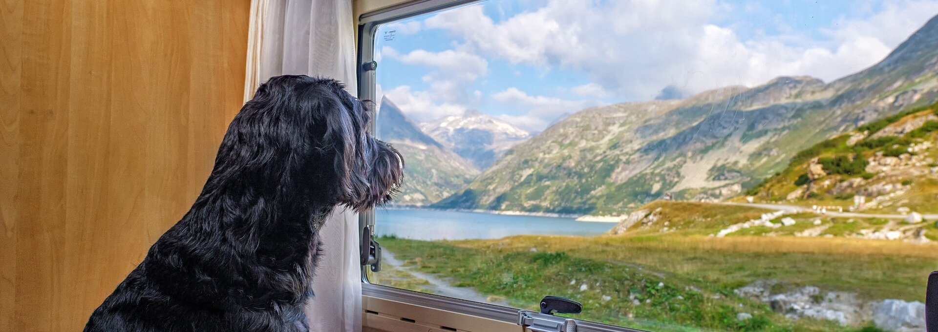 Hund auf Reisen mit dem Wohnmobil | © Foto: Pixabay