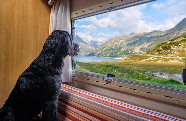 Reisemobilversicherung Thema Glasschäden Beispielbild Reisemobil Fenster | © Foto: Pixabay