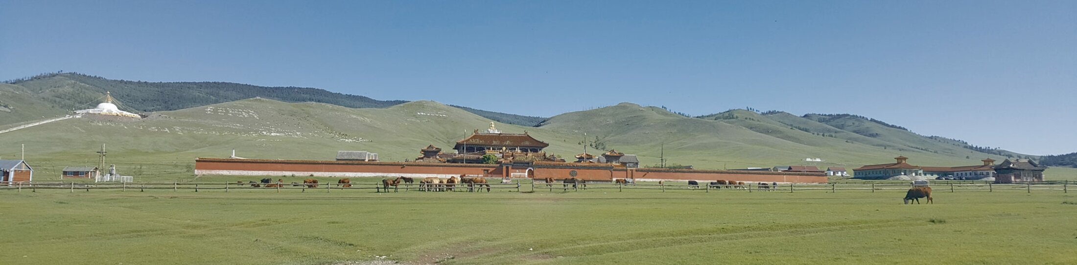 CMT_2022_Mongolei_Kloster_Amarbayasgalant | © Foto: Ethno Mongol CMT_2022_Mongolei_Kloster_Amarbayasgalant | © Foto: Ethno Mongol