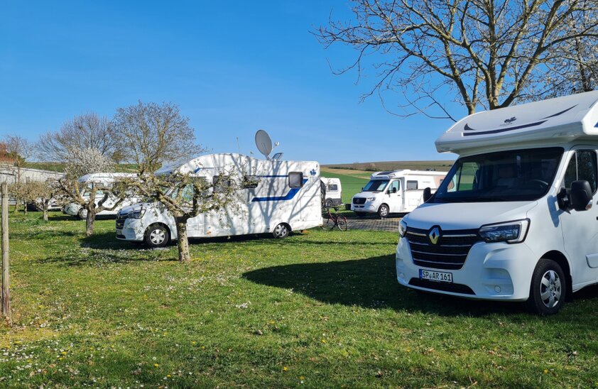 Campingplatz | © Photo: Autoren-Union Mobilität/Michael Kirchberger