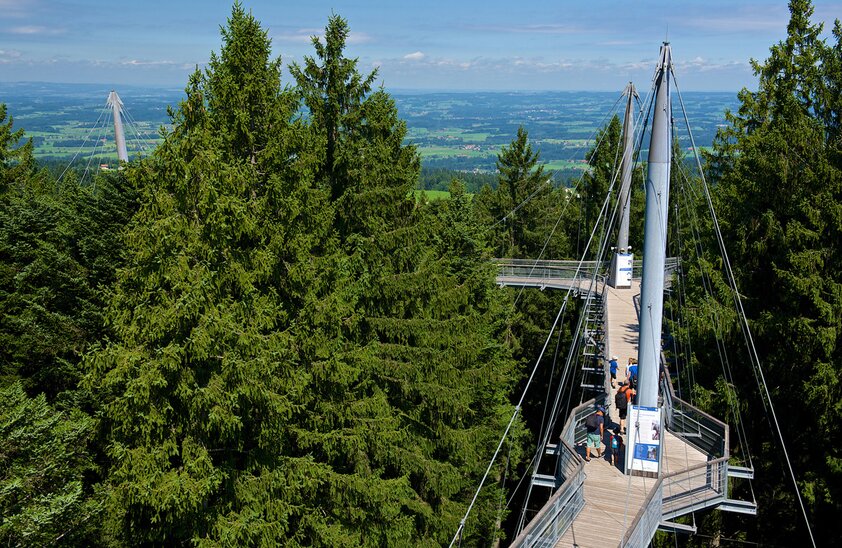 Baumwipfelpfad Skywalk Allgäu | © Foto: djd/skywalk/Tobias Heimplaetzer