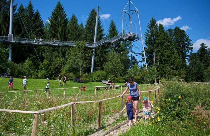 Baumwipfelpfad Skywalk Allgäu | © Foto: djd/skywalk allgäu