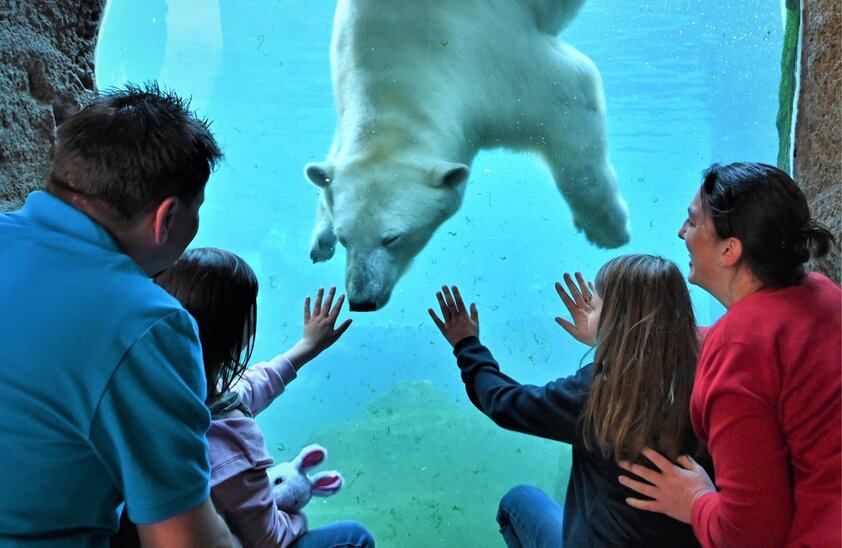Zoo am Meer, Bremerhaven | © Foto: djd/Zoo am Meer