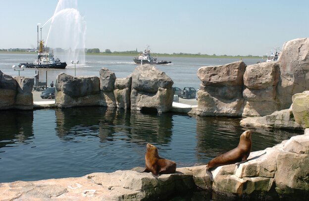 Faszinierende Tierwelten vor beeindruckender Kulisse - der Zoo am Meer bietet fast überall weite und kontrastreiche Aussichten.  Faszinierende Tierwelten vor beeindruckender Kulisse - der Zoo am Meer bietet fast überall weite und kontrastreiche Aussichten. | © Foto: djd/Erlebnis Bremerhaven/Wolfhard Scheer