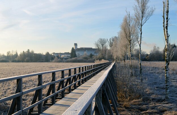 © Auf dem Federseesteg kann man trockenen Fußes die winterlich-romantische Moorlandschaft erkunden. Die Natur zeigt sich dort von ihrer schönsten Seite und gewährt Einblicke in eine beeindruckende Pflanzenvielfalt. Foto: djd/Oberschwaben Tourismus/Touristikmarketing Bad Buchau