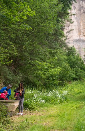 © Tuffwand © Klaus-Peter Kappest