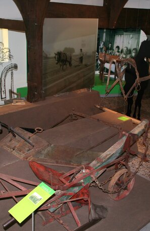 © Spargelmuseum, Nienburg © Mittelweser Touristik