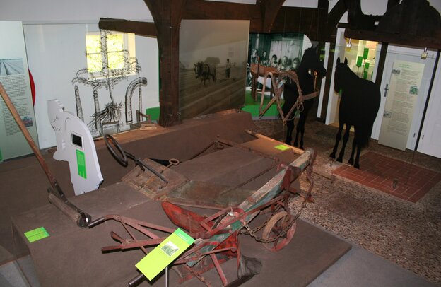 © Spargelmuseum, Nienburg © Mittelweser Touristik