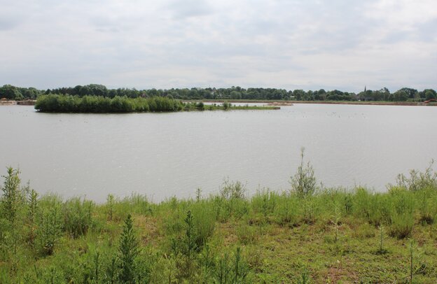 © Naturschutzgebiet Domäneweg Leese Stolzenau, SG Mittelweser © Mittelweser Touristik