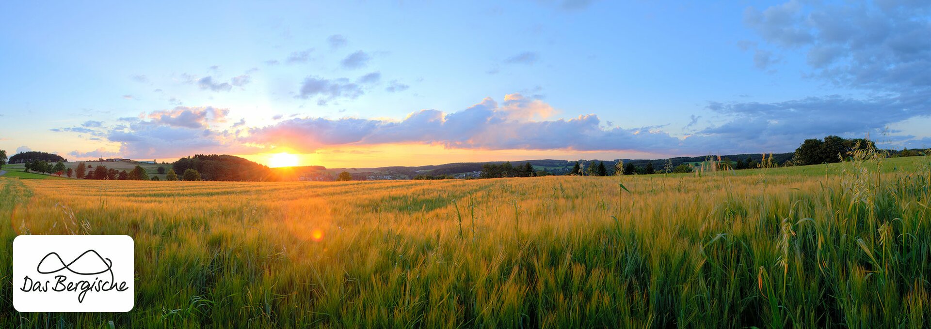 Panoramaroute Bergisches Land | © Panoramaroute Bergisches Land Kornfeld © Klaus Stange Panoramaroute Bergisches Land | © Panoramaroute Bergisches Land Kornfeld © Klaus Stange
