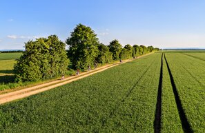 Roemerstrasse-Erftstadt-Erp | © Roemerstrasse-Erftstadt-Erp © Patrick Gawandtka