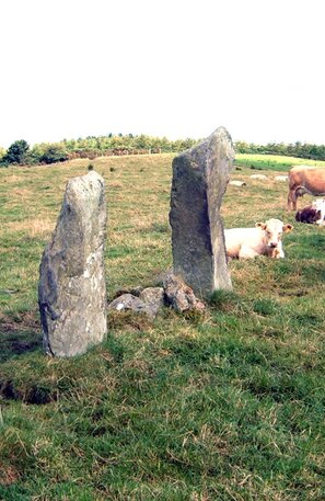Bocan Stone Circle, Wild Atlantic Way | © Photo: by Attila Terbócs - Own work, CC BY-SA 3.0, Wikimedia curid=1756473