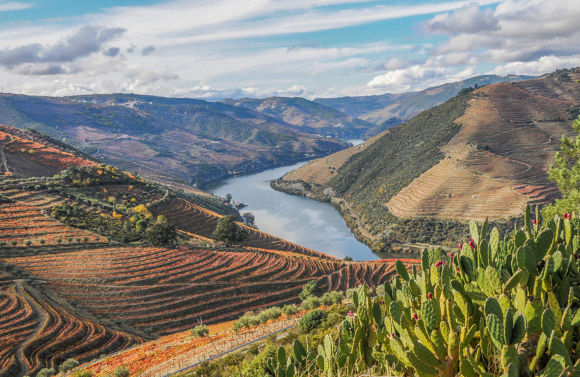 Douro Weinregion - Portugal | © Douro Weinregion, Foto: Joseolgon, CC BY-SA 3.0, via Wikimedia Commons