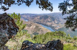 Miradouro São Leonardo de Galafura, Douro Wohnmobil Route | © Miradouro São Leonardo de Galafura, Foto: Stefan Eilenlehner