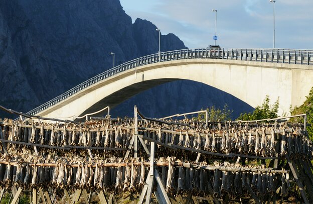 Stockfisch Henningsvaer | © Henningsvaer, Stockfisch, Foto: Jarle Waehler, Statensvegvesen