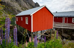 Nusfjord Lofoten | © Nusfjord, Foto: Stefan Eilenlehner
