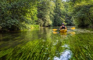 Kayakfahren auf dem Rospuda, Masuren  | © Rospuda, Foto: Curioso.Photography, stock.adobe.com