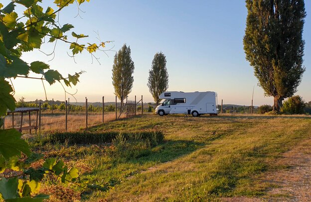 Bauernleben | © BAUERNLEBEN / Roitner Media GmbH