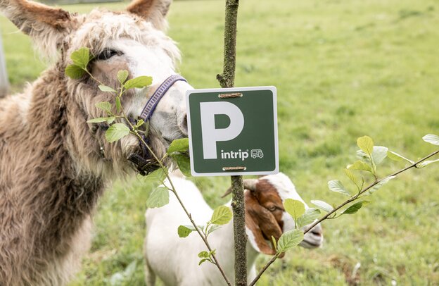 Eindrücke von Pintrip | © Eindrücke von Pintrip | Pintrip