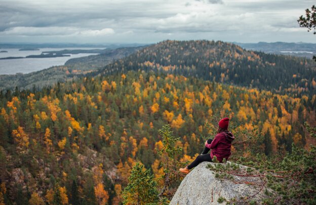 Koli Nationalpark, Camping Finnland mit dem Wohnmmobil | © Koli Nationalpark, Foto: Julia Kivelä