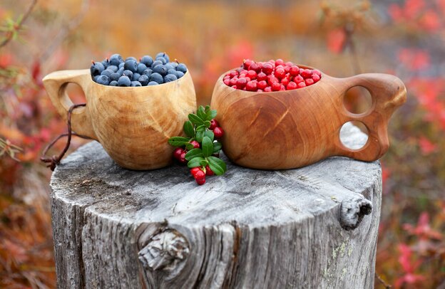 Preiselbeeren und Blaubeeren, Camping Finnland mit dem Wohnmobil | © Preiselbeeren und Blaubeeren, Foto: Soili Jussila/Vastavalo, Visit Finnland