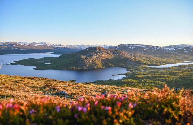 Malla Strict Nature Reserve, Saana, Lapland, summer, nightless night | © Malla, Saana, Foto: Suvi Mansikkasalo, Visit Finland