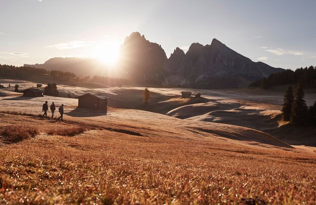 © Von der Seiser Alm, der größten Hochalm Europas, führen zahlreiche Wanderwege durch die majestätische Bergwelt der Dolomiten. Foto: djd/IDM Südtirol/Andreas Mierswa